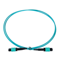 FIBERM MPO-MPO 12F OM3 25m Patchcord