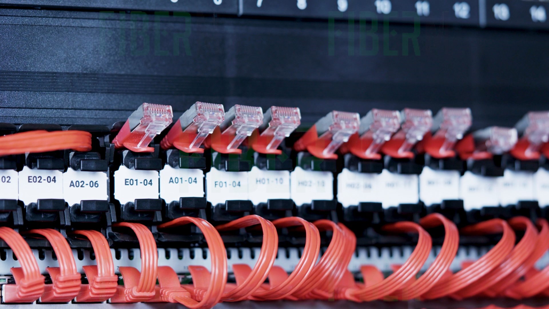 PATCHBOX® 365 σετ 24 κασετών Cat.6a (STP, κόκκινες, 0,8 m / 8RU)