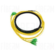FIBERM Multipatchcord 24x SCA/APC - 24x SC/APC 10m Single mode włókno G652D