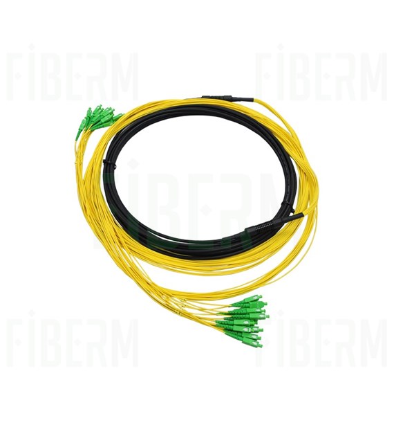 FIBERM Multipatchcord 24x SCA/APC - 24x SC/APC 10m Single mode włókno G652D