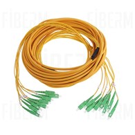 FIBERM Multipatchcord 24x SCA/APC - 24x SC/APC 10m Single mode włókno G652D