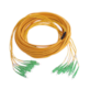 FIBERM Multipatchcord 24x SCA/APC - 24x SC/APC 10m Single mode włókno G652D